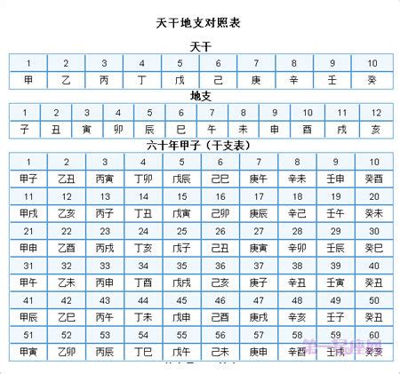 1986 天干地支|天干属性 干支纪年对照表